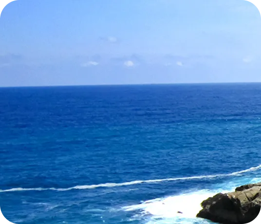 海からの贈りもの「日向灘黒潮酵母」