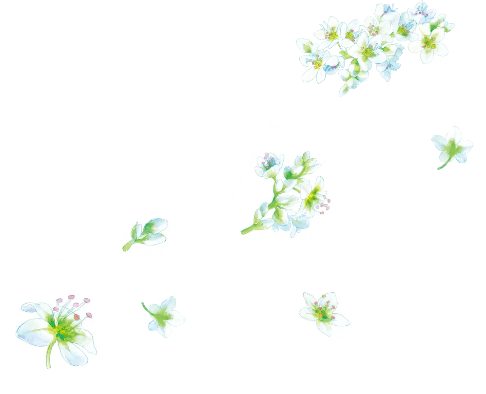 そばの花